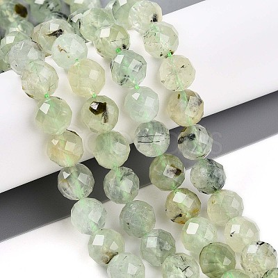 Natural Prehnite Beads Strands G-S345-10mm-28-1