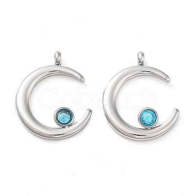 304 Stainless Steel Pendants STAS-L022-380G-01-1