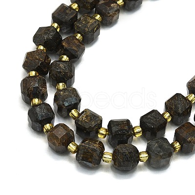 Natural Bronzite Beads Strand G-I376-D66-01-1