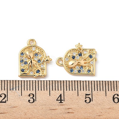 Brass Micro Pave Cubic Zirconia Charms X1-KK-C099-01E-G-1