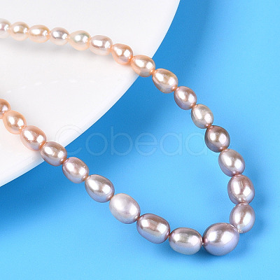 Natural Cultured Freshwater Pearl Beads Strands PEAR-K003-21D-1