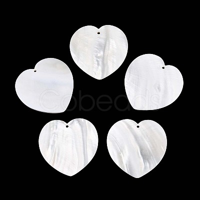 Natural Freshwater Shell Big Pendants SHEL-T020-51-1