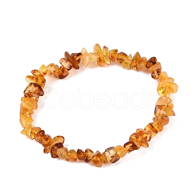 Natural Amber Chip Beaded Stretch Bracelets BJEW-N041-01A-1