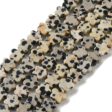 Natural Dalmatian Jasper Beads Strands G-B138-C08-01-1