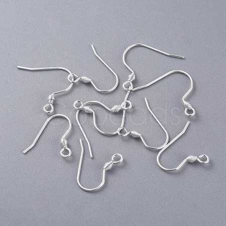 304 Stainless Steel Earring Hooks STAS-K210-26S-1
