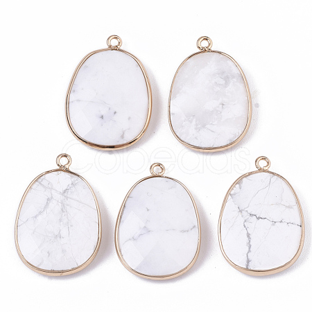 Natural Howlite Pendants G-T131-08I-1