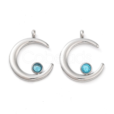 304 Stainless Steel Pendants STAS-L022-380G-01-1
