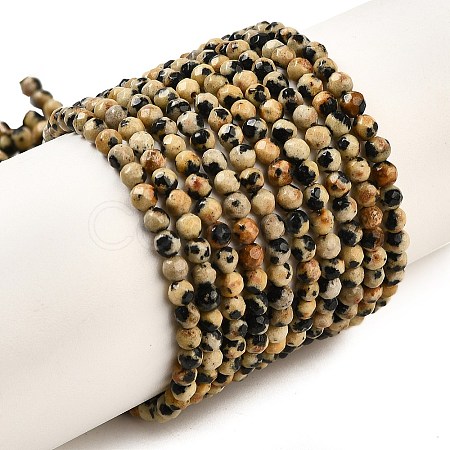 Natural Dalmatian Jasper Beads Strands G-Z068-B07-01-1