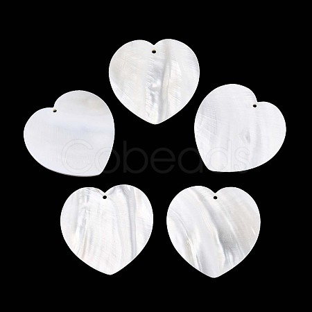 Natural Freshwater Shell Big Pendants SHEL-T020-51-1