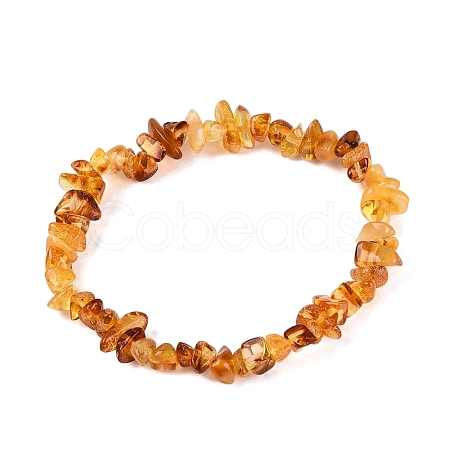 Natural Amber Chip Beaded Stretch Bracelets BJEW-N041-01A-1