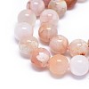 Natural Cherry Blossom Agate Beads Strands G-I249-B01-02-3