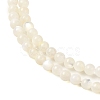 Natural White Shell Beads Strands SHEL-M021-03B-3