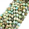 Natural Turquoise Beads Strands G-O201B-38-1