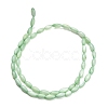 Natural Freshwater Shell Beads Strands X-SHEL-C010-01A-3