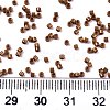 FGB 11/0 Grade A Baking Paint Glass Seed Beads X-SEED-S030-1031-4