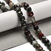 Natural African Bloodstone Beads Strands G-H078-C26-01-2