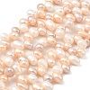 Natural Cultured Freshwater Pearl Beads Strands PEAR-I007-04F-01B-2