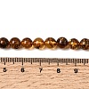 Natural Amber Beads Strands G-K376-H02-01-5