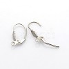 Tarnish Resistant 304 Stainless Steel Leverback Earring Findings LS-STAS-N036-02-1