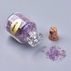 Bottles of Natural Gemstone Chip Beads G-S049-2-B-2