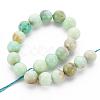 Natural Chrysoprase Beads Strands G-S333-10mm-037-2