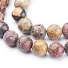 Natural Red Leopard Skin Jasper Beads Strands GSR10mmC066-2