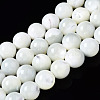 Natural Trochid Shell/Trochus Shell Beads Strands SSHEL-S266-023A-03-1