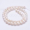 Natural Cultured Freshwater Pearl Beads Strands PEAR-P002-24-2