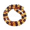 Two Tone Natural Amber Beads Strands G-K426-A03-04-3