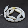 Natural White Agate Beads Strands G-O179-G01-2-2