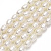 Natural Cultured Freshwater Pearl Beads Strands PEAR-J006-14C-01-1