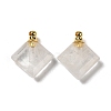 Natural Mixed Gemstone Perfume Bottle Pendants G-Z039-05G-2