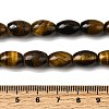 Natural Tiger Eye Beads Strands G-A275-A01-8x12mm-5