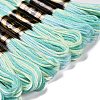 10 Skeins 6-Ply Polyester Embroidery Floss OCOR-K006-A26-2