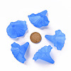 Transparent Acrylic Beads BSF796-C05-5