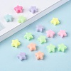 Opaque Acrylic Beads X-MACR-S296-74-4