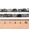 Natural Eagle Eye Stone Beads Strands G-G980-43-5