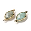 Natural Amazonite Faceted Connector Charms G-K347-03G-21-2