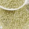 MIYUKI Round Rocailles Beads X-SEED-G008-RR0554-1
