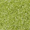 MIYUKI Delica Beads X-SEED-J020-DB1888-3