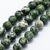 Natural Green Spot Jasper Beads Strands G-I199-30-6mm-1