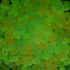 Luminous Transparent Acrylic Beads LACR-D009-01C-3