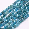 Natural Apatite Beads Strands G-F509-17-3mm-1