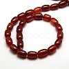 Natural Carnelian Column Beads Strands G-P063-67-3