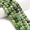 Natural Serpentine Beads Strands G-Z110-C04-8mm-1