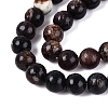 Natural Biotite Beads Strands G-Q616-01C-4