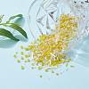Glass Seed Beads X-SEED-S059-011-7