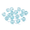 K9 Glass Imitation Austrian Crystal Beads GLAA-H024-17A-28-1
