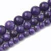 Natural Chalcedony Beads Strands G-S333-10mm-011-2