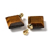 Natural Tiger Eye Perfume Bottle Pendants G-Z039-05G-05-2